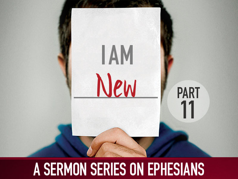 Part 11: I Am New