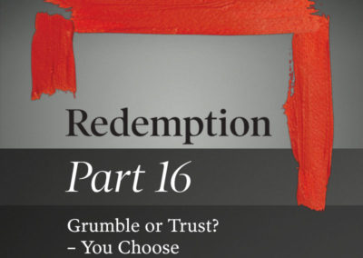 Part 16: Grumble or Trust? – You Choose