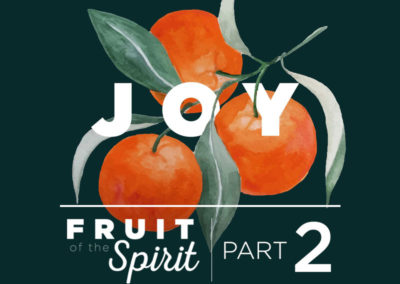 Fruit of the Spirit | Part 2: Joy