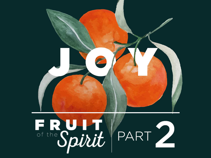 Fruit of the Spirit | Part 2: Joy