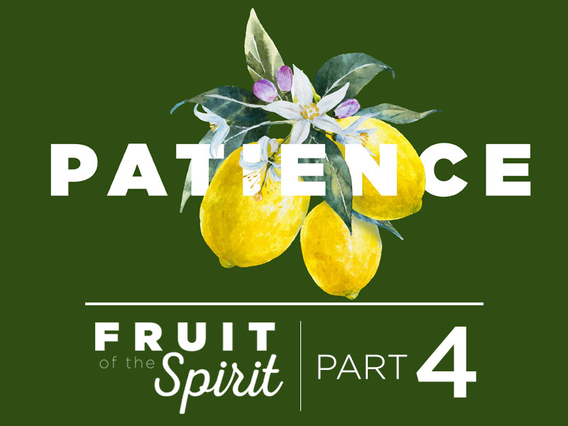 Fruit of the Spirit | Part 4: Patience