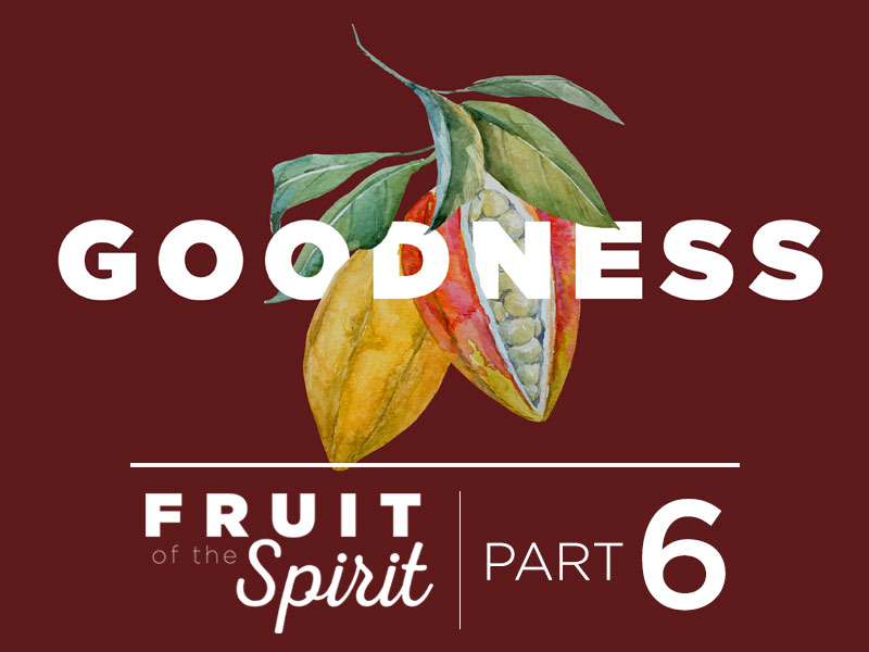 Fruit of the Spirit | Part 6: Goodness