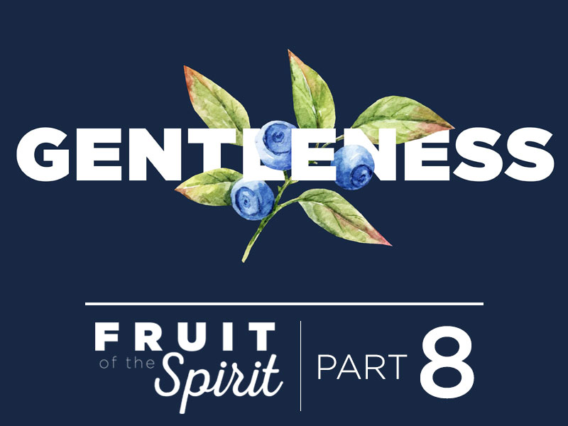 Fruit of the Spirit | Part 8: Gentleness