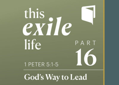 Part 16: God’s Way to Lead