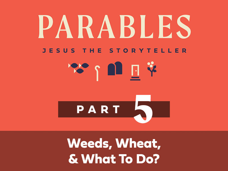 Part 5: Weeds, Wheat, & What To Do?