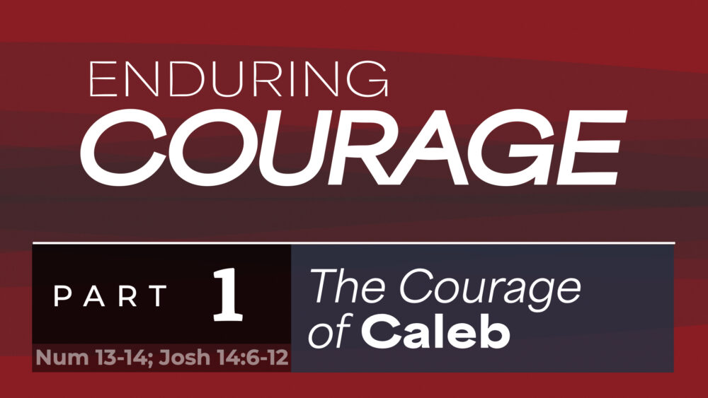 The Courage of Caleb Image