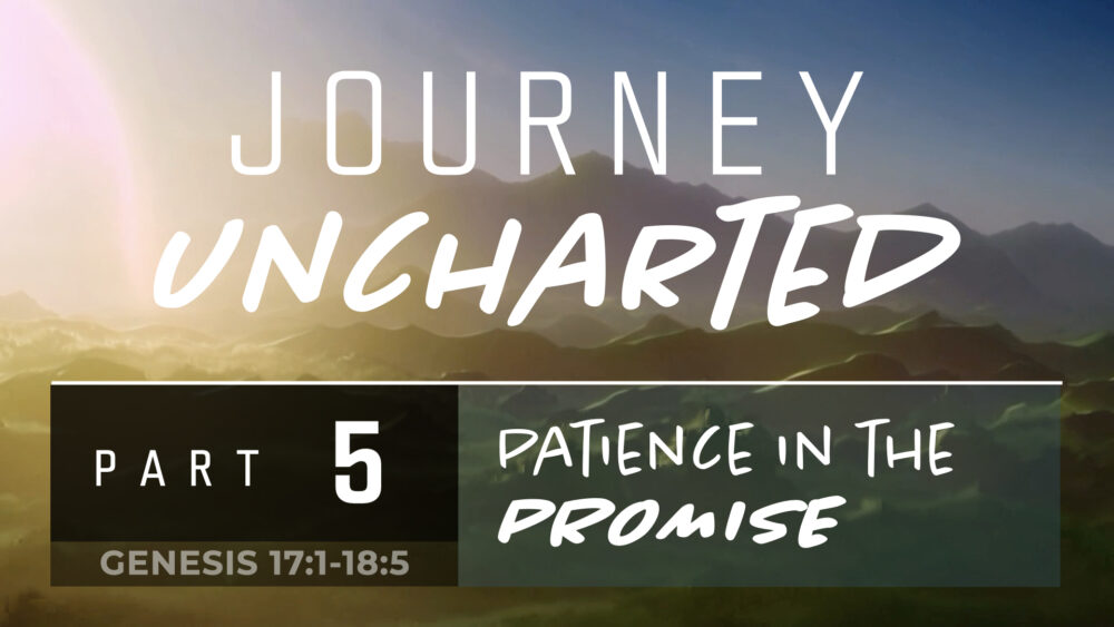 Patience in the Promise Image